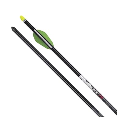 Wicked Ridge by TenPoint XX75 - Pack of 6, 20” 2219 Aluminum Crossbow Arrows - 459-Grains, .003” Straightness - with Alpha-Nock HP