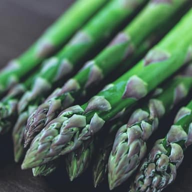 Jersey Knight Asparagus Roots - Hardy and High Yielding, 2yr Bare Root Asparagus Crowns from Hand Picked Nursery (10)
