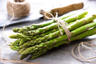 10 Mary Washington Asparagus Roots – Live 2-Year Crowns, Perennial Vegetable Plants, Easy Grow Backyard Garden Asparagus, Cold Hardy Edible Plants, High Yield Spring Harvest (10 Roots)