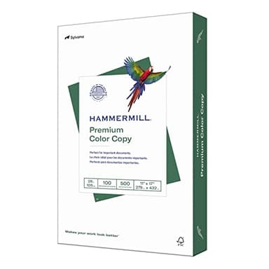 Hammermill Printer Paper, Premium Color 28 lb Copy Paper, 11 x 17-100 Bright, Made in the USA, 102541R - 1 Ream (500 Sheets)