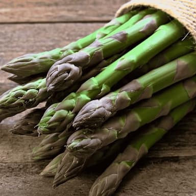 10 'Millennium' Asparagus Plants - Bare Root Asparagus Crowns - Cold Hardy, Good Variety for Heavy Soils -2yr-Crowns from Hand Picked Nursery